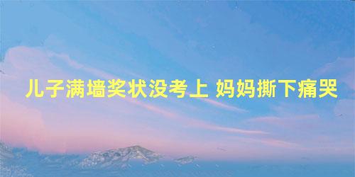 儿子满墙奖状没考上 妈妈撕下痛哭